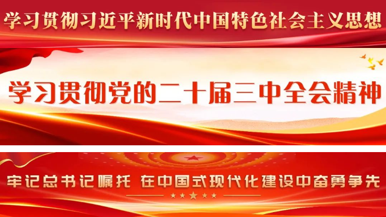 张帆参加所在党支部主题党日活动