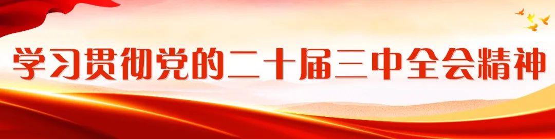 区领导赴江田镇召开全面从严治党主体责任落实情况约谈反馈会并走访服务企业