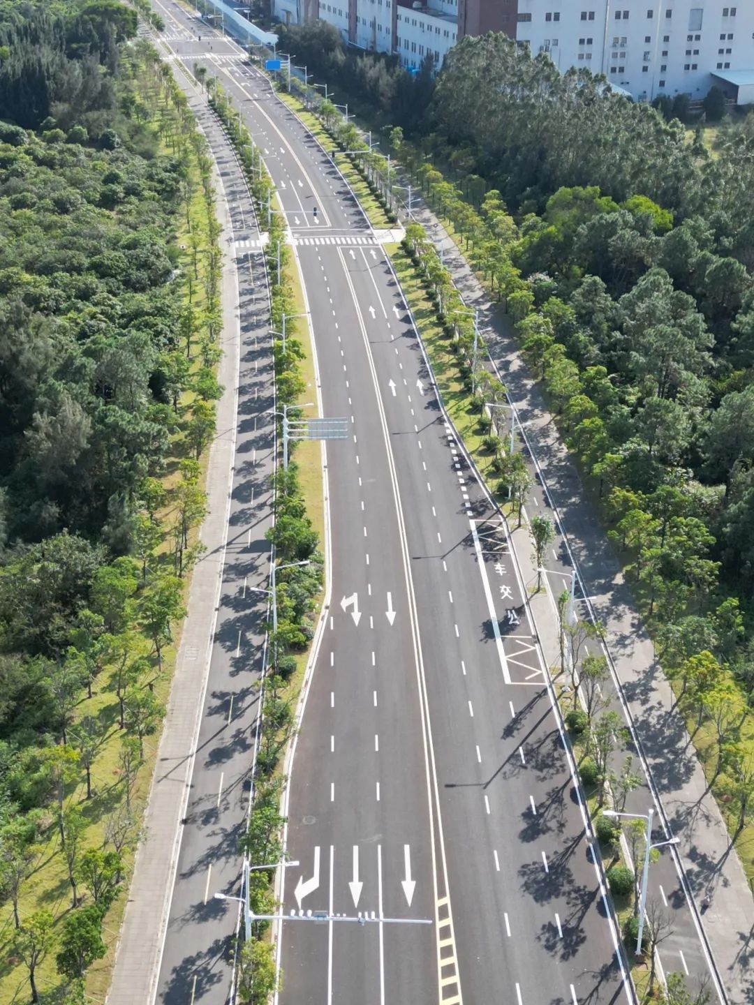 提速冲刺！长乐这条道路将在春节前全面完工