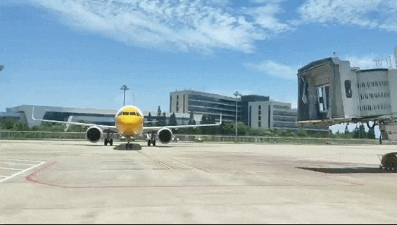 全年超17万人次！长乐机场最火国际航线是→